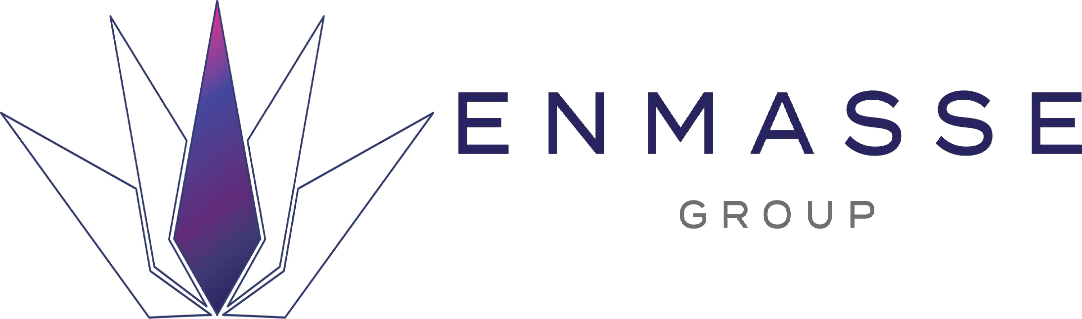 En Masse Group (Pty)Ltd